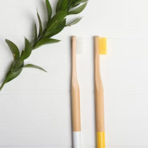 Natural Bamboo Toothbrushes