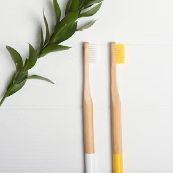 Natural Bamboo Toothbrushes